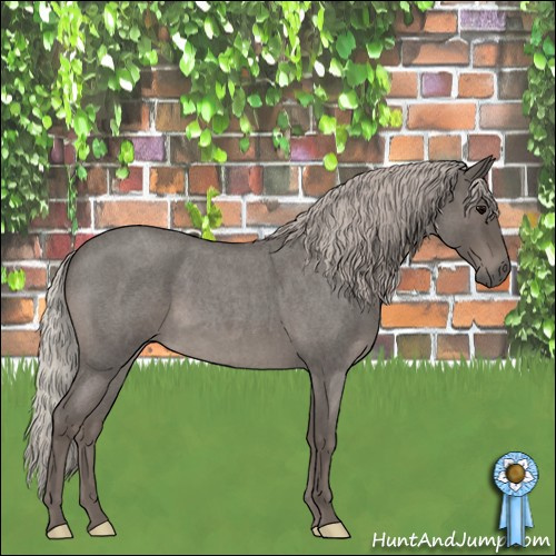 Horse Color:Silver Blue Roan 