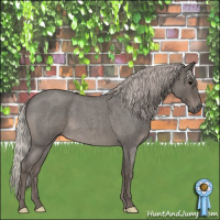 Horse Color:Silver Blue Roan 