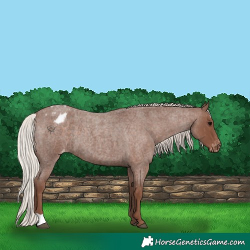 Horse Color:Silver Blue Roan Varnish 