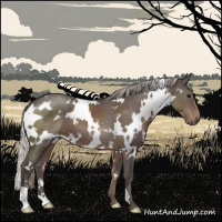 Horse Color:White Spotted Silver Black 