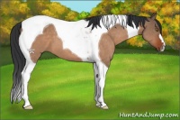Horse Color:Brown Dun Tobiano 