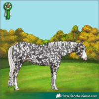 Horse Color:Liver Chestnut Mushroom Snowflake Varnish 