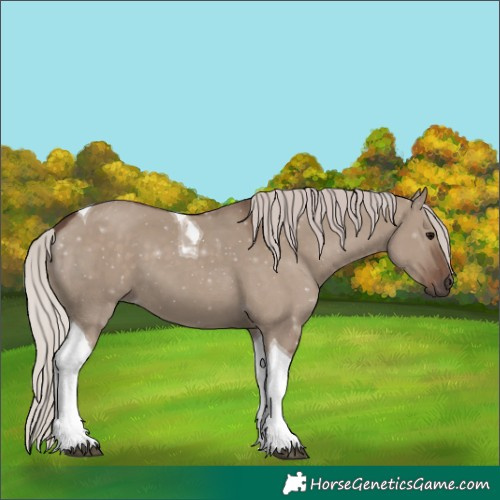 Horse Color:Silver Grullo Tobiano 