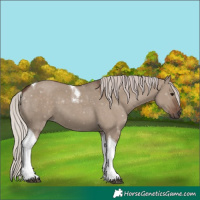 Horse Color:Silver Grullo Tobiano 