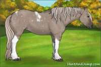 Horse Color:Silver Grullo Tobiano 