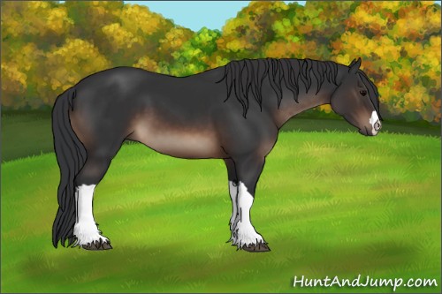 Horse Color:Brown 