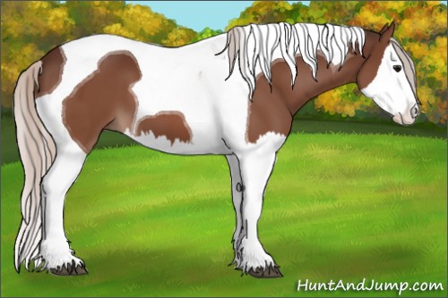 Horse Color:Silver Brown Splash Tobiano 