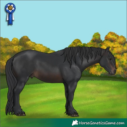 Horse Color:Brown 