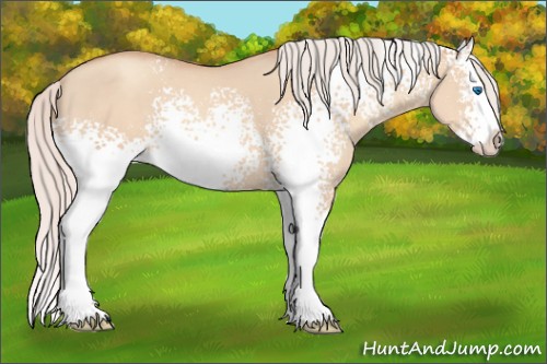 Horse Color:White Spotted Silver Classic Champagne Dun Splash 