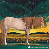 Horse Color:Gold Champagne Roan 