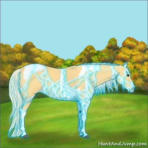 Horse Color:Thunderstruck Palomino Tobiano 