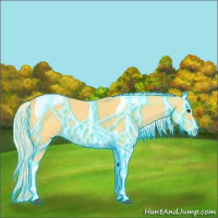 Horse Color:Thunderstruck Palomino Tobiano 