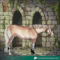 Horse Color:White Spotted Silver Sable Champagne Ice Onyx