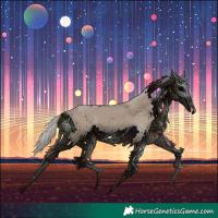 Horse Color:Silver Grullo 