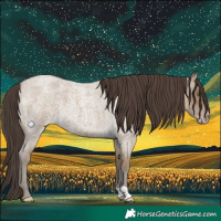 Horse Color:Classic Cream Champagne Roan 