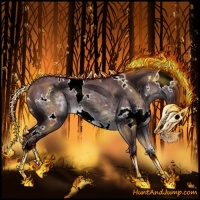 Horse Color:White Spotted Chocolate Silver Black Chinchilla 