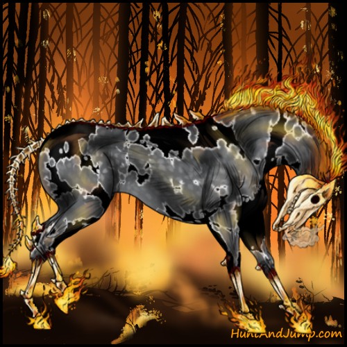 Horse Color:White Spotted Silver Black Chinchilla 