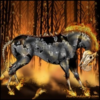 Horse Color:White Spotted Silver Black Chinchilla 