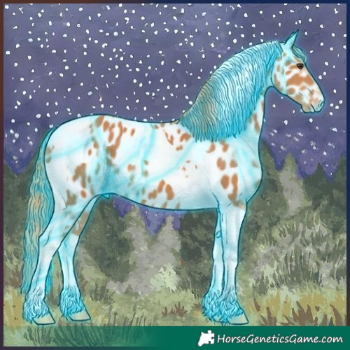 Horse Color:Thunderstruck Chestnut Tobiano Appaloosa 