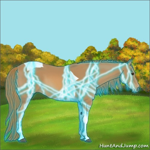 Horse Color:Thunderstruck Chestnut Tobiano 