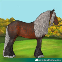 Horse Color:Silver Brown Rabicano