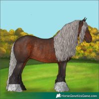 Horse Color:Silver Brown Rabicano 