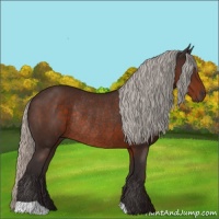 Horse Color:Silver Brown Rabicano 