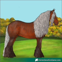 Horse Color:Silver Brown Rabicano 