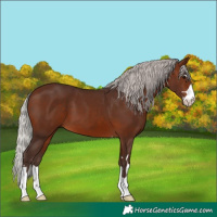 Horse Color:Silver Brown 