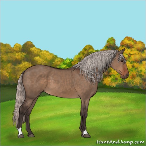 Horse Color:Silver Brown Dun 