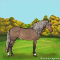 Horse Color:Silver Brown Dun