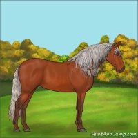 Horse Color:Silver Brown 