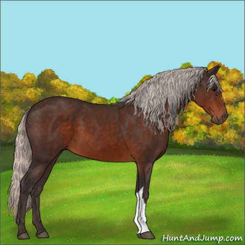 Horse Color:Silver Brown