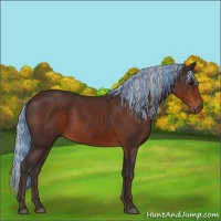 Horse Color:Painted Silver Brown Sabino 