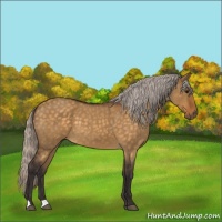 Horse Color:Silver Buckskin Roan Dun