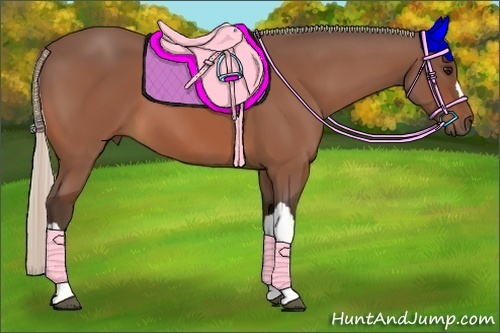 Horse Color:Silver Bay