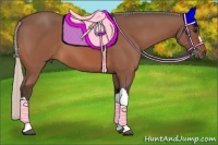 Horse Color:Silver Bay