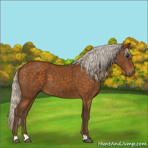 Horse Color:Silver Buckskin