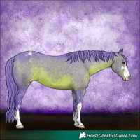Horse Color:Watercolor Brown Appaloosa 