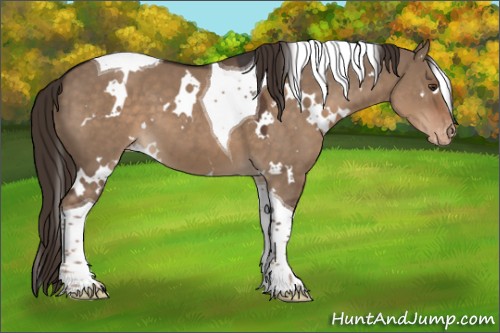 Horse Color:White Spotted Liver Red Dun Tobiano Appaloosa 