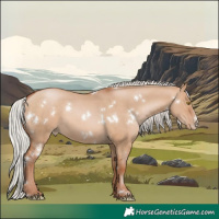 Horse Color:White Spotted Silver Brown Pearl Dun Sabino
