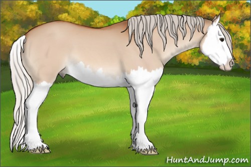 Horse Color:Silver Bay Dun Splash 