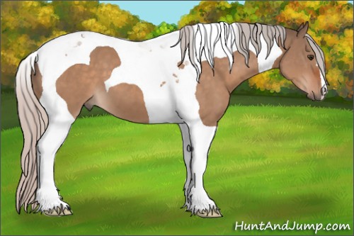 Horse Color:Silver Brown Dun Tobiano 