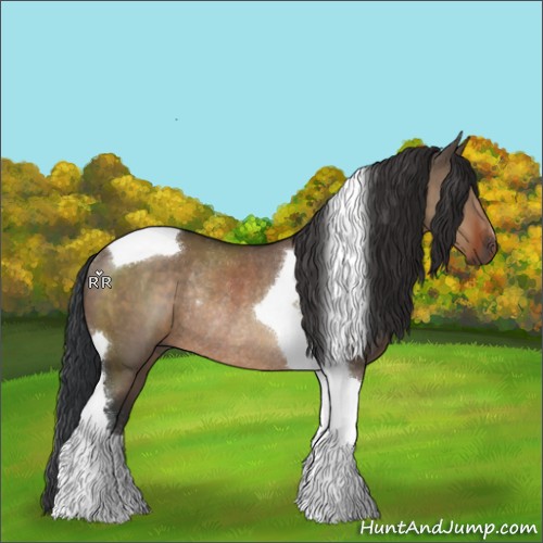 Horse Color:Brown Dun Sabino Tobiano Rabicano 