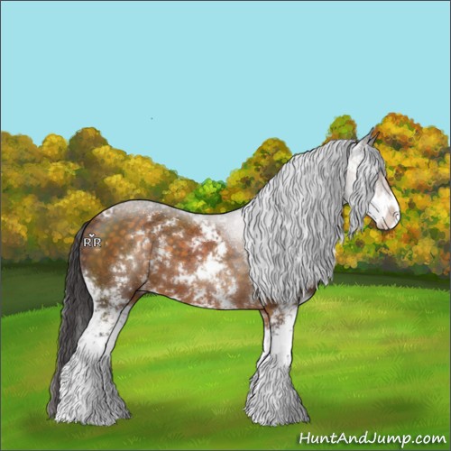 Horse Color:Buckskin Sabino 