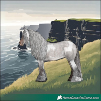 Horse Color:Silver Brown Roan Appaloosa and Brown Roan Appaloosa