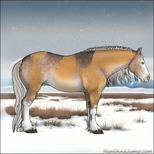 Horse Color:White Spotted Silver Buckskin Dun Splash  and White Spotted Silver Brown Dun Splash 