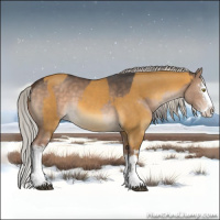 Horse Color:White Spotted Silver Buckskin Dun Splash and White Spotted Silver Brown Dun Splash