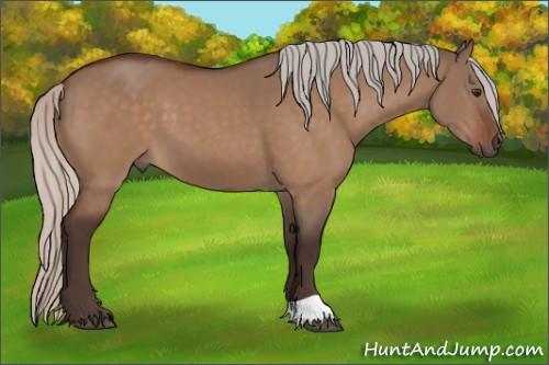 Horse Color:Silver Brown Dun 