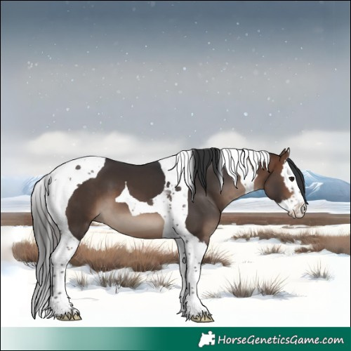 Horse Color:Brown Splash Tobiano 